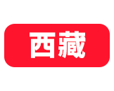 西藏美术高考网-美院宝